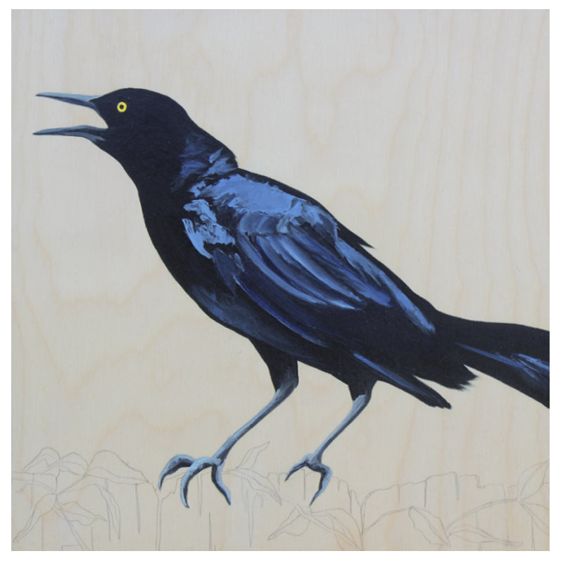 Grackle #45 - Carly Weaver - 12 x 12"