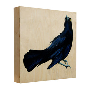Grackle #23 - Carly Weaver - 12 x 12"