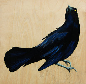 Grackle #23 - Carly Weaver - 8 x 8"