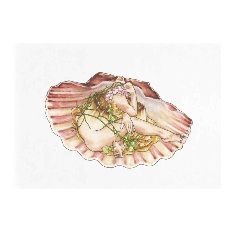 Hestia Scallop - Jennifer Pate - 8x10"