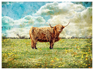Highland Bull by Jake Bryer