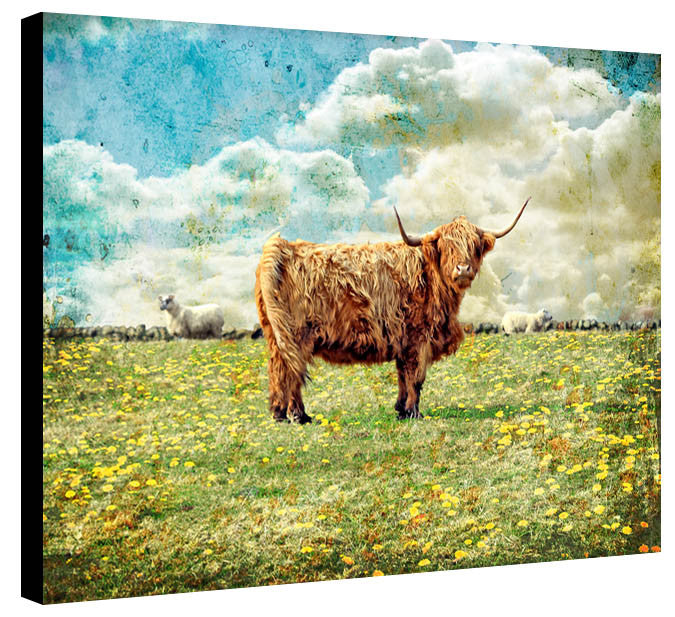 Highland Bull by Jake Bryer