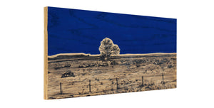 Landscape #6 - Carly Weaver - 12x6"