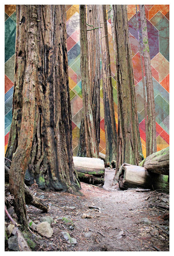 Muir Trees - Jake Bryer - Austin Art Garage