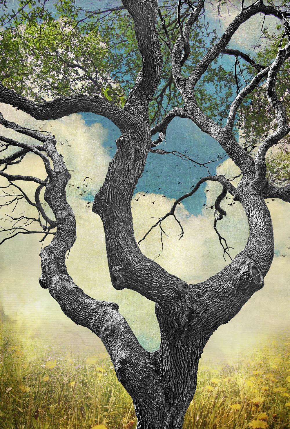 Texas Tree Series by Jake Bryer - Austin Art Garage