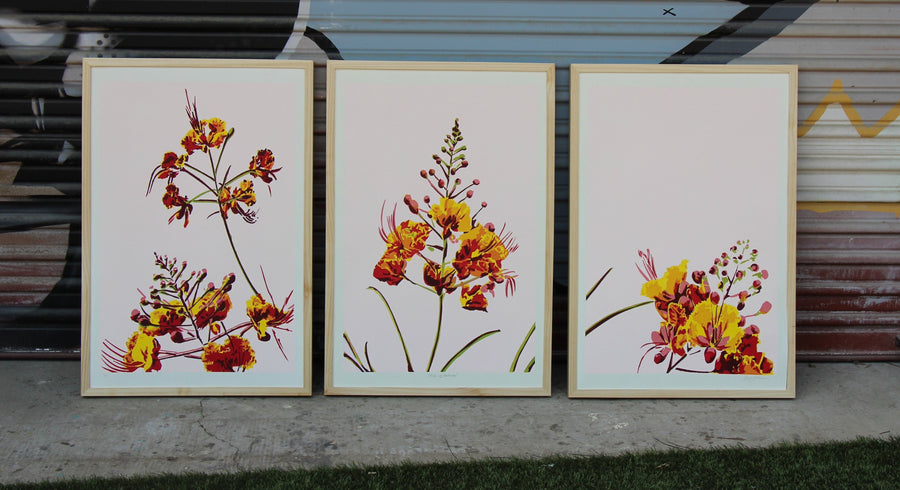 Pride of Barbados Triptych - Landry McMeans - 90 x 29"