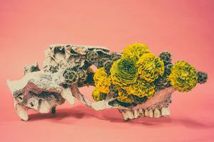 Skull with Flowers - Antonio Bond