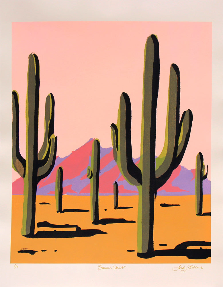 Sonoran Desert Pink - Landry McMeans - 18x24"