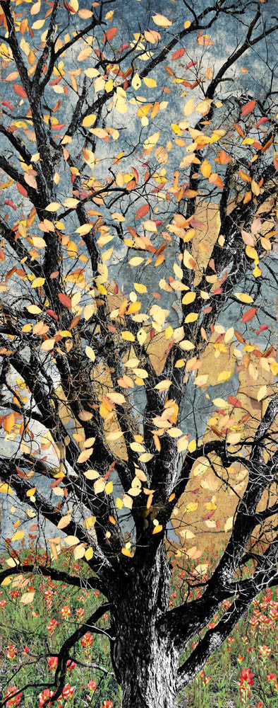 Texas Tree Series by Jake Bryer - Austin Art Garage