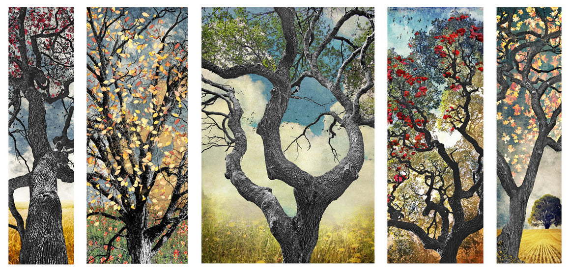 Jake Bryer - Austin Art Garage