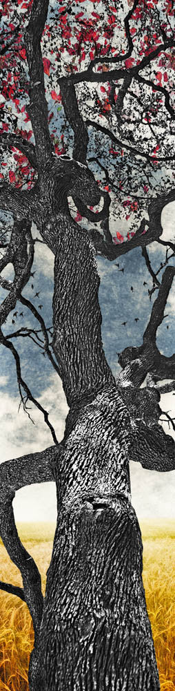 Texas Tree Series by Jake Bryer - Austin Art Garage