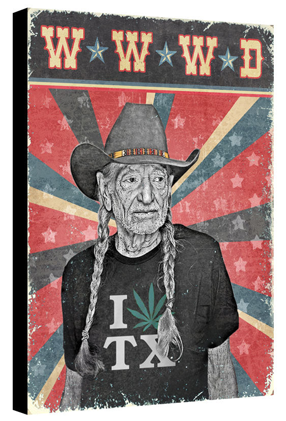 What Would Willie Do? by Jake Bryer