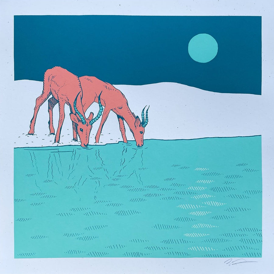 Antelopes by Night - Dan Grissom - 12x12"