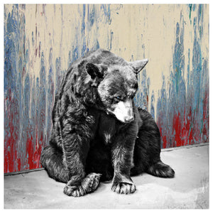 Black Bear Blues by Jake Bryer