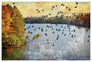 Lady Bird Lake by Jake Bryer